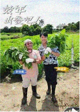 广场舞王子·小李的编舞心得